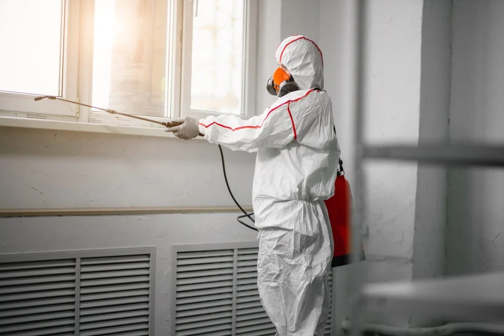 Professional mold remediation services in Inlet Beach, FL